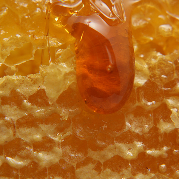 ¿Cómo distinguir la miel de abeja natural?