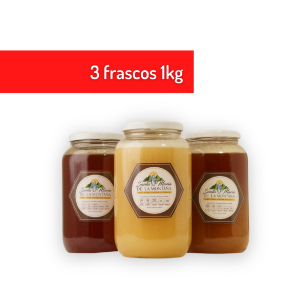 3 frascos 1kg miel virgeni