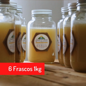 6 Frascos de 1 kg Miel