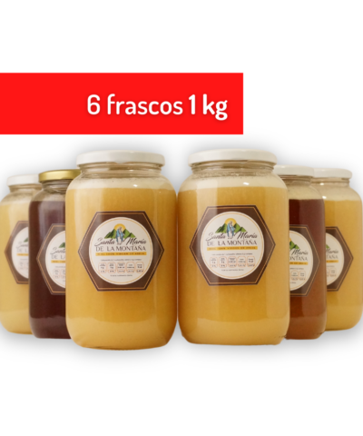 Miel virgen 6 frascos kilo
